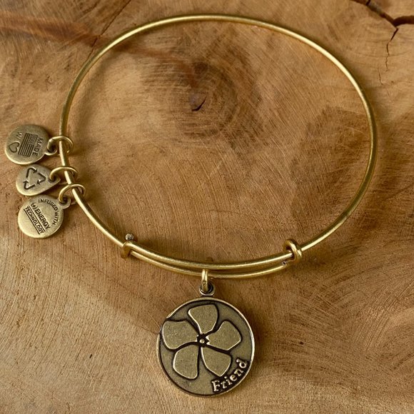 ALEX & ANI Friend Bracelet Energy Charm Bangle Set, Rafaelian Gold and Silver - Picture 2 of 9